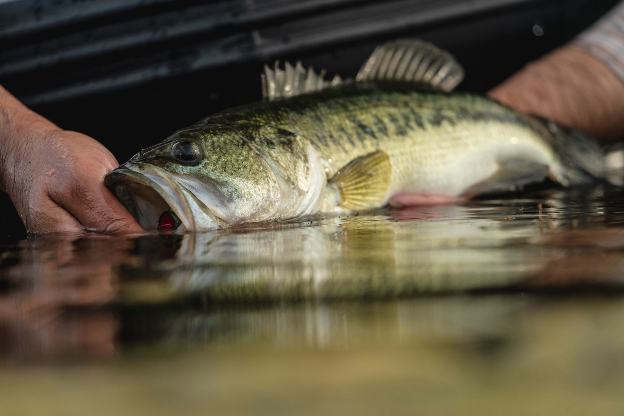 Fly Fishing for Largemouth Bass - On The Water