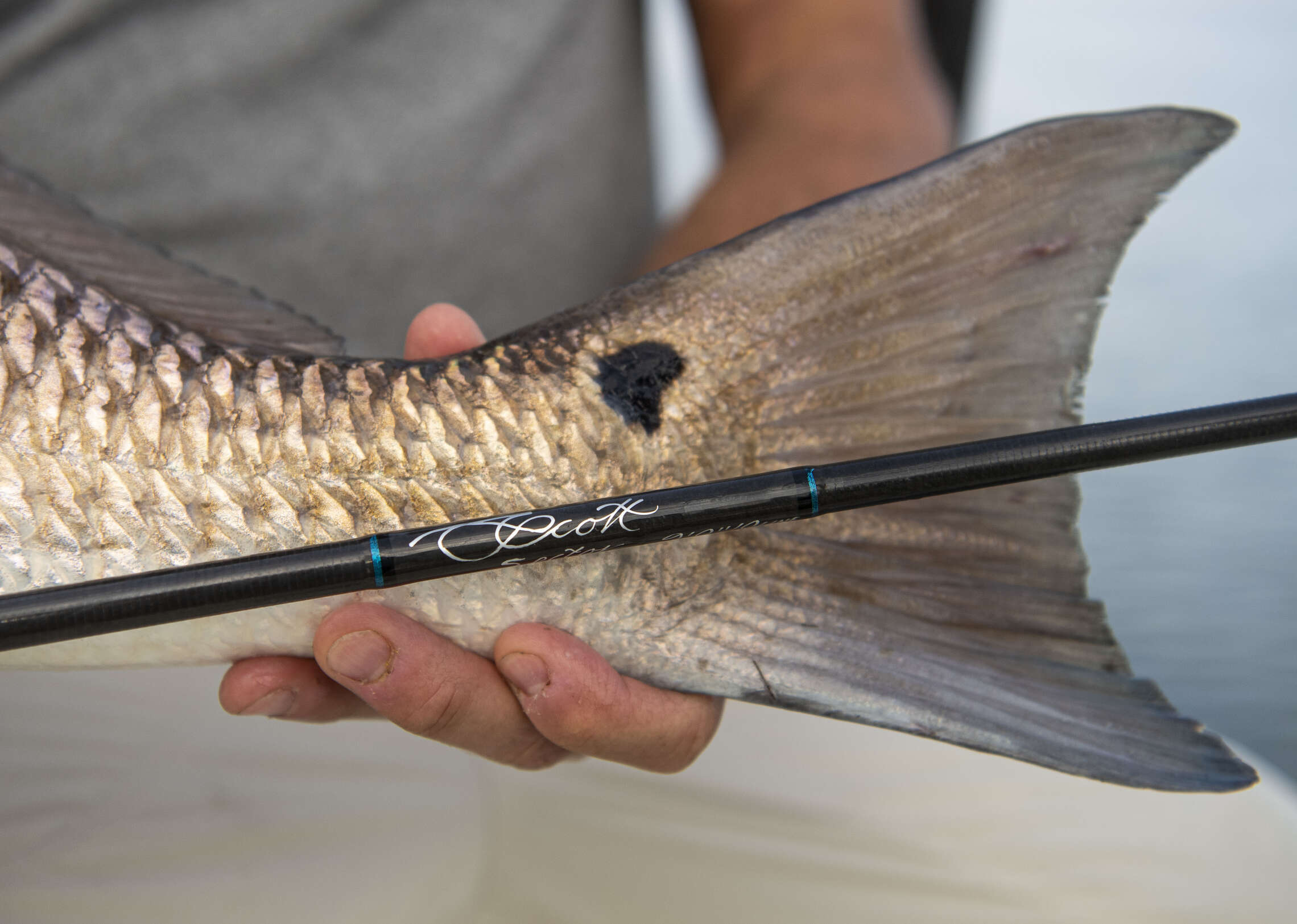 best g loomis rod for redfish 690-4 IMX-PRO V2S Saltwater Fly GCX LITE provides anglers with ultra Redfish Fly Fishing Setup: Rods,