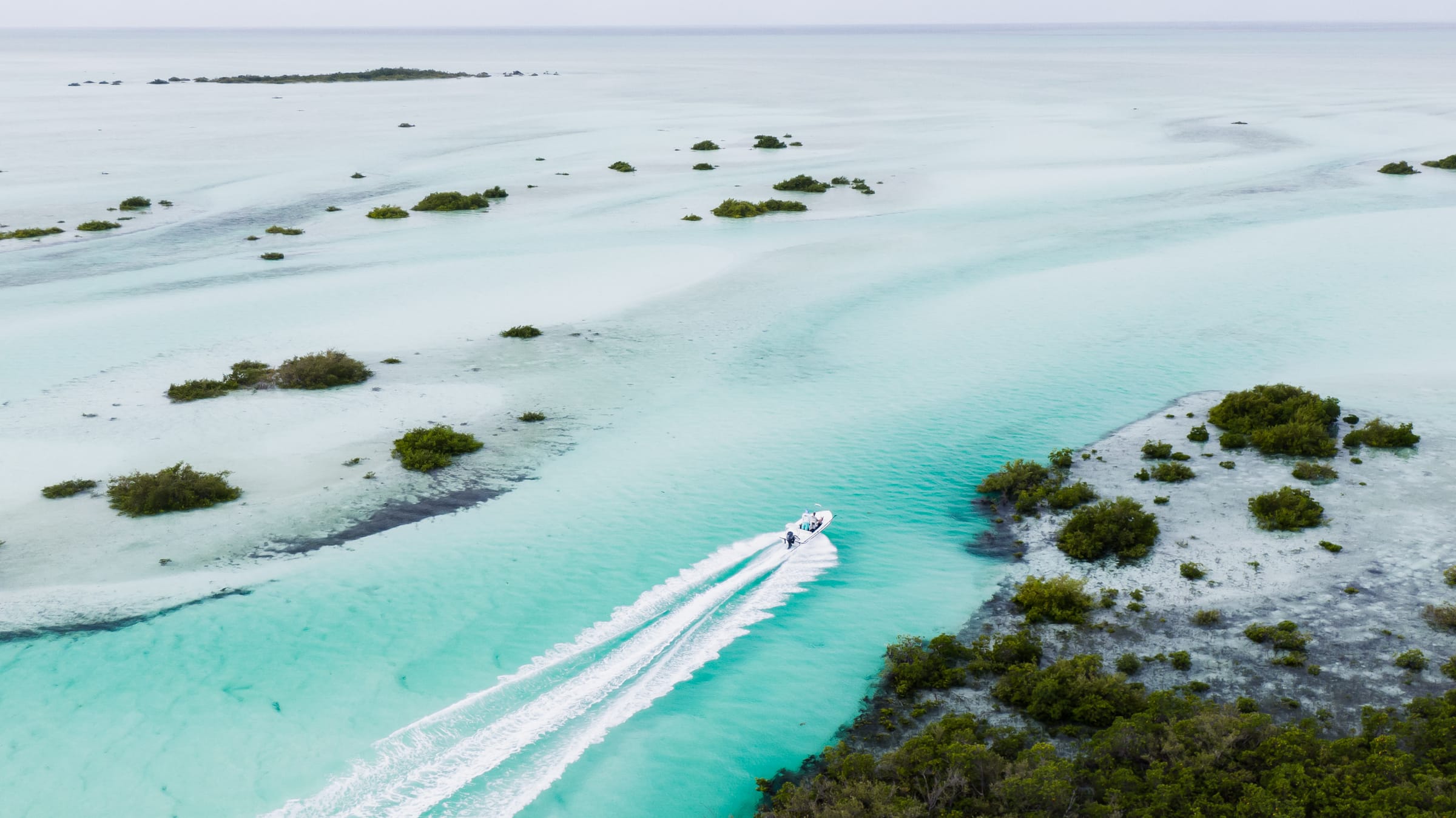 A skiff wake crossing a shallow flat