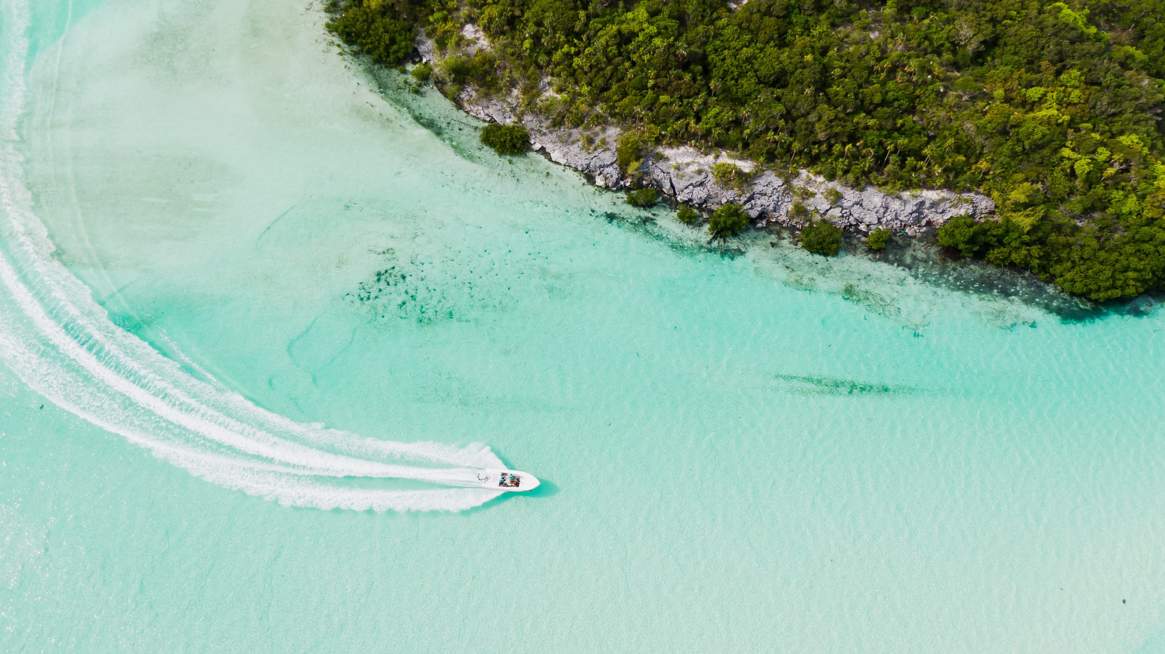Shoreline seen from the air