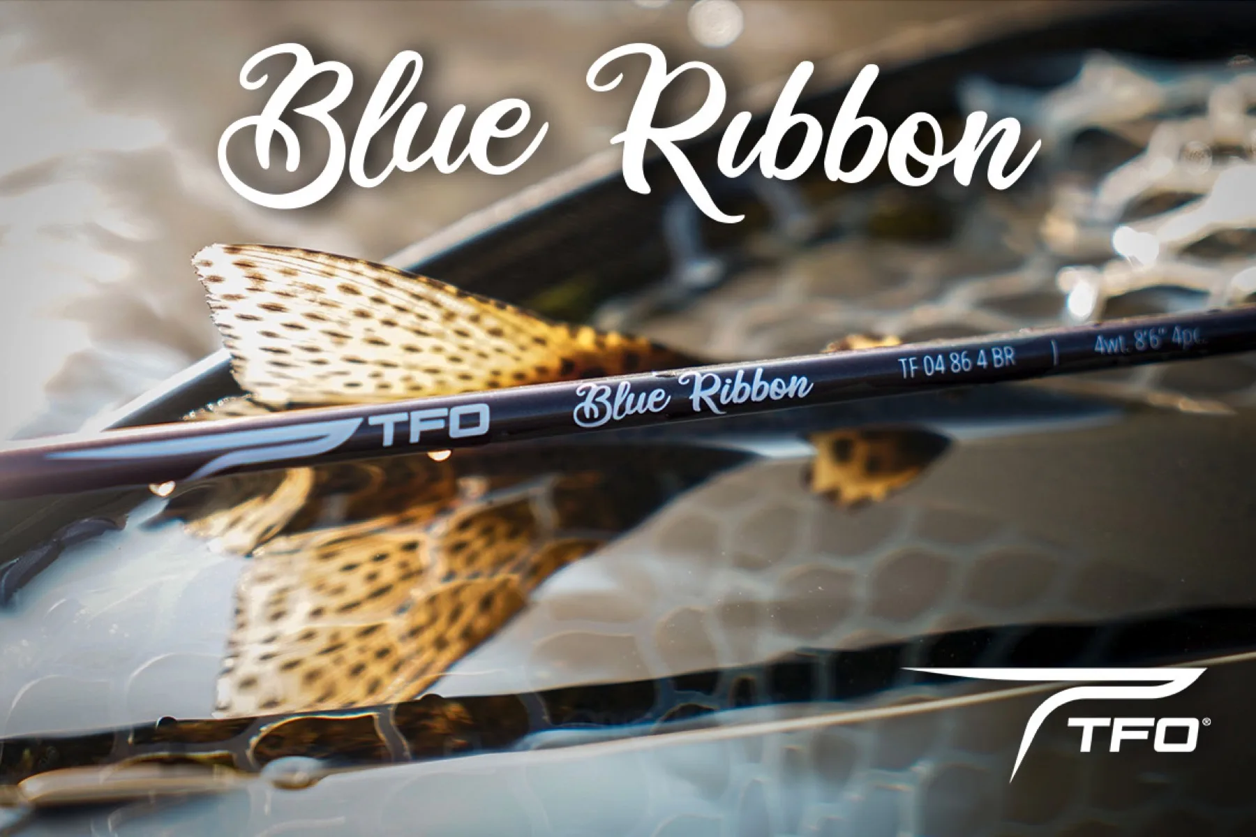 TFO Blue Ribbon