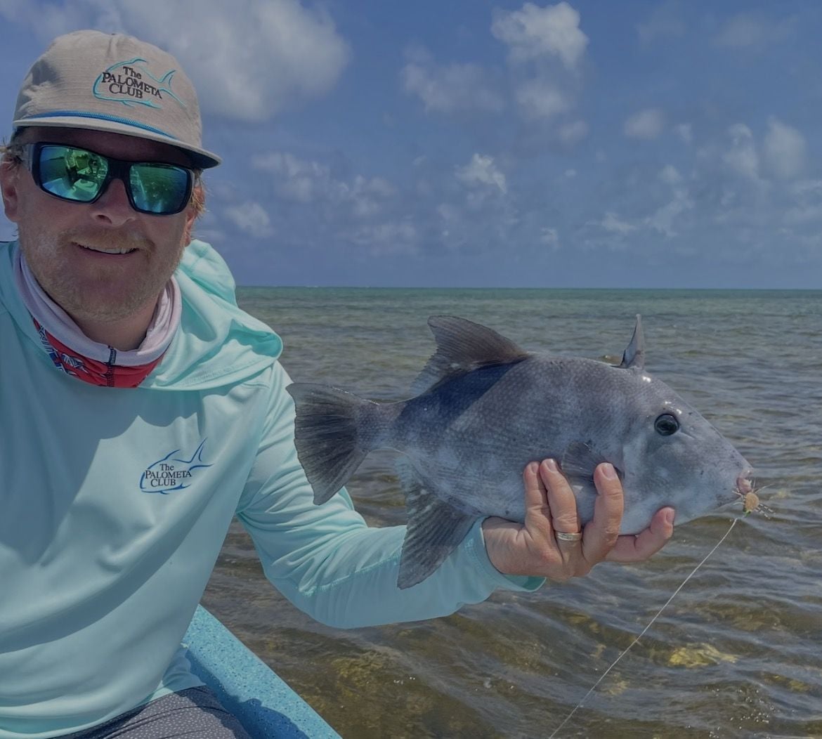 Titan Triggerfish caught at Mexico