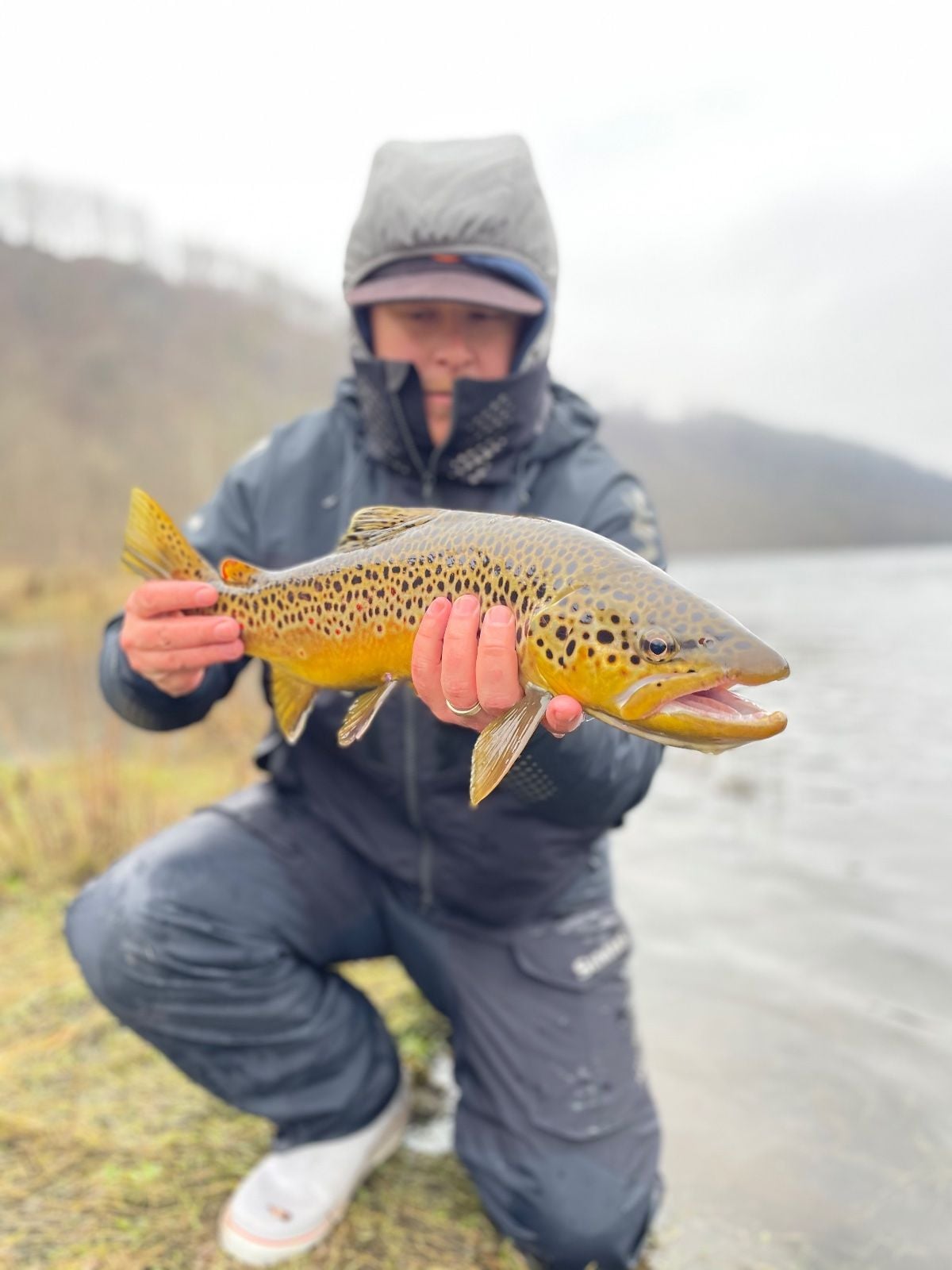 Brown Trout caught at Arkansas