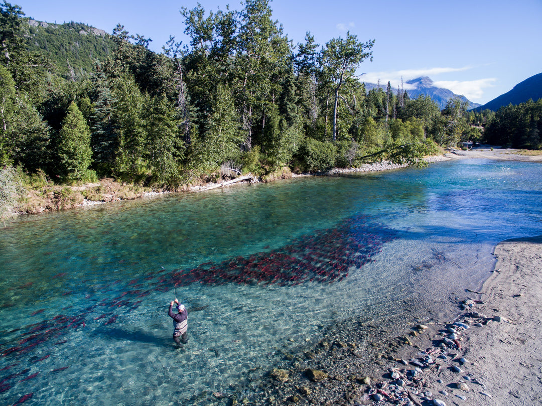 Fly Fishing Alaska (The Ultimate Guide)