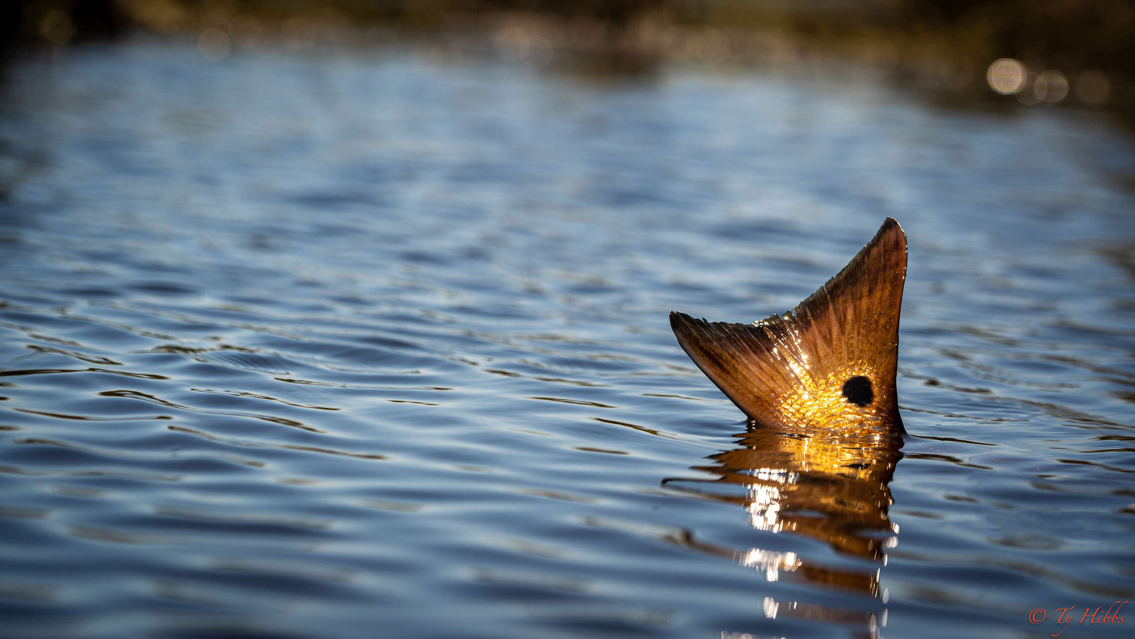 The Woodland Plantation Pre-Trip Planner