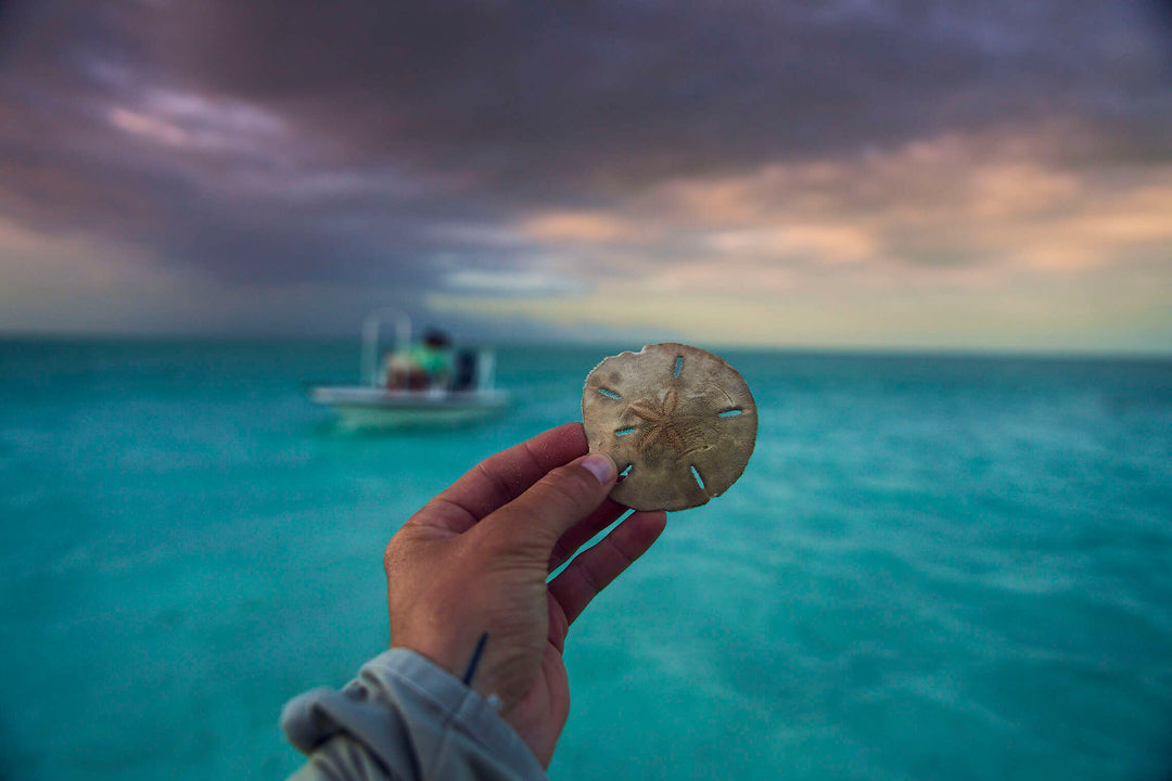 Fishing Trip or Family Vacation? Why the Bahamas is Perfect for Both