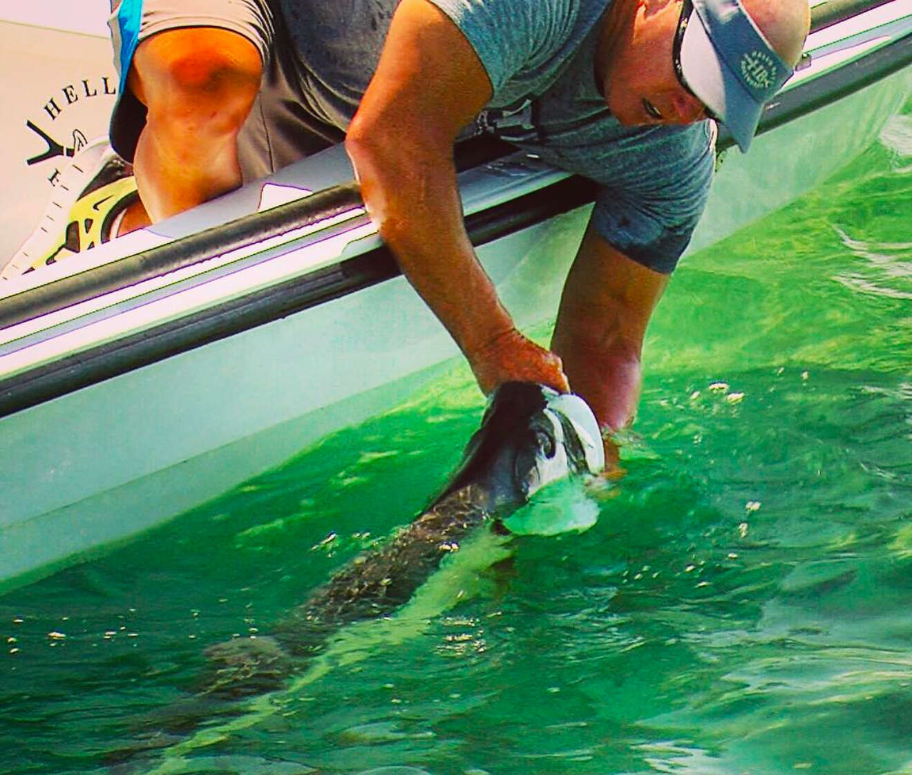 Fordyce August Weeks at The Palometa Club 2025