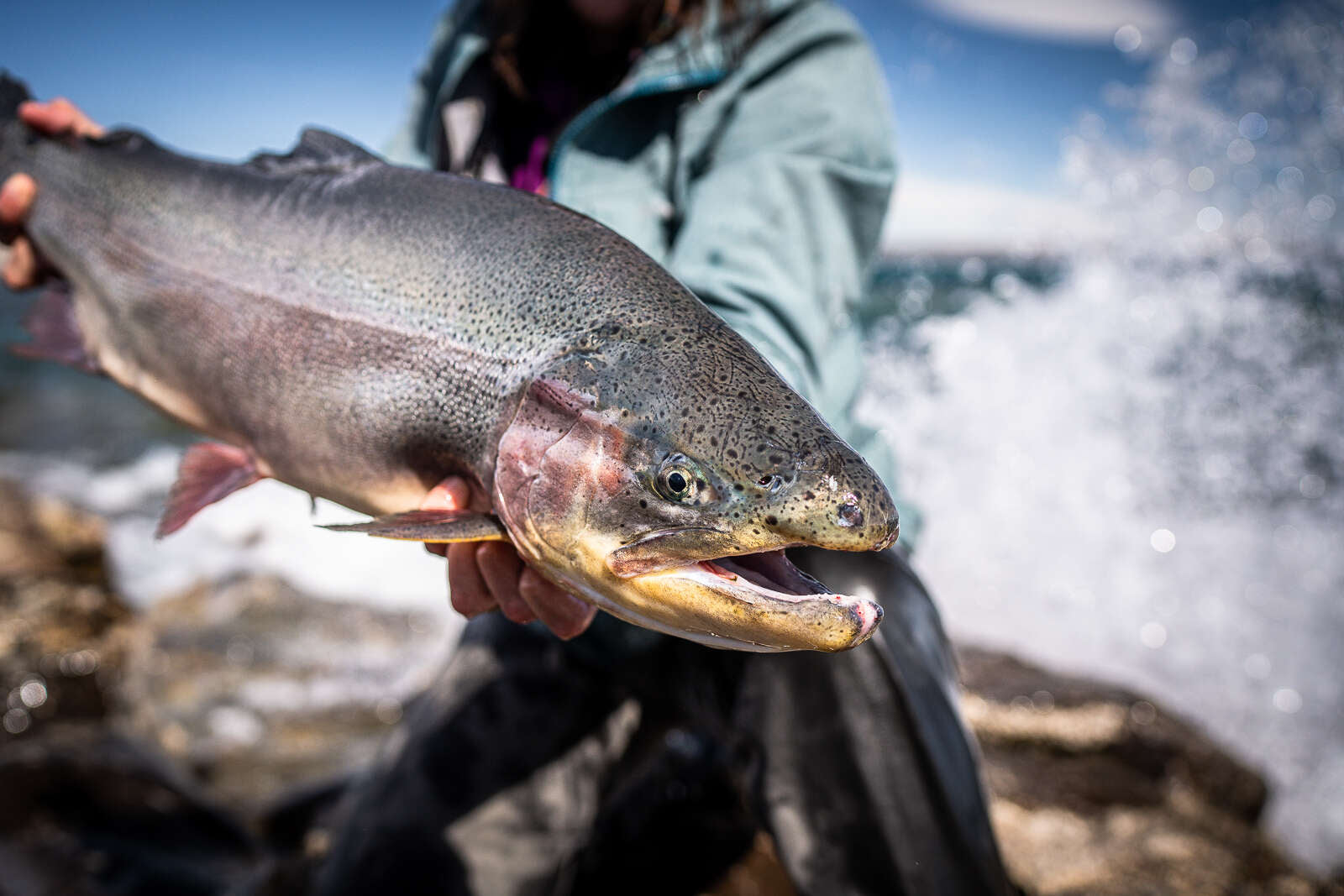 Fly Fishing Jurassic Lake - South America Trip Report PART 1