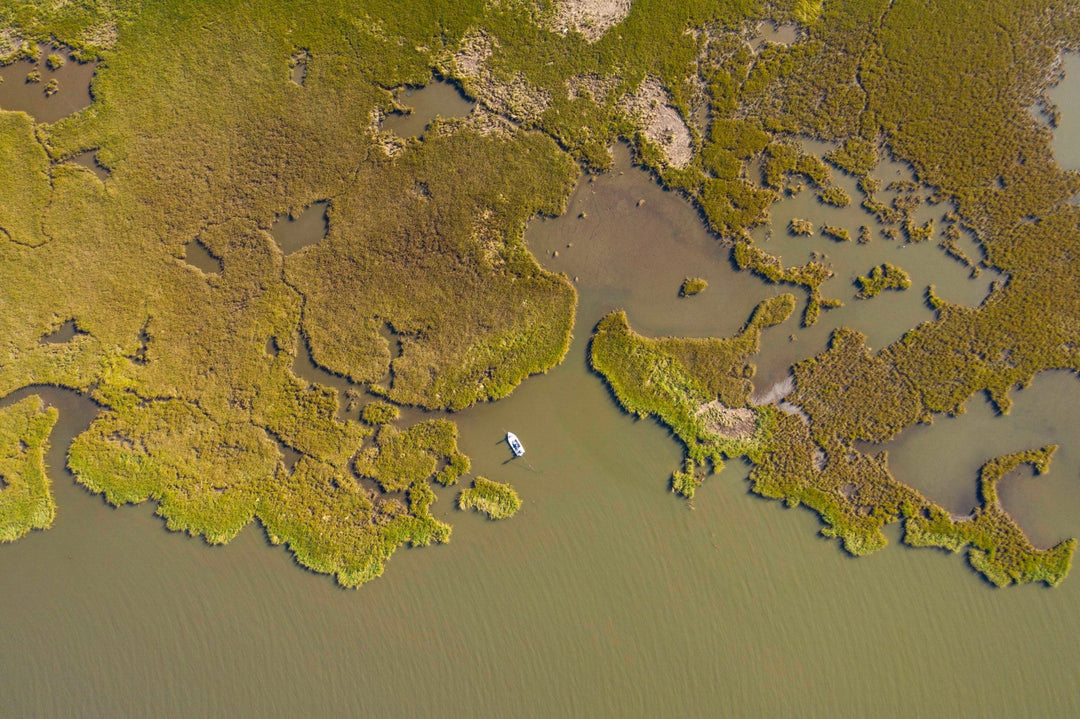 Fly Fishing for Redfish in Louisiana [The Ultimate Guide]