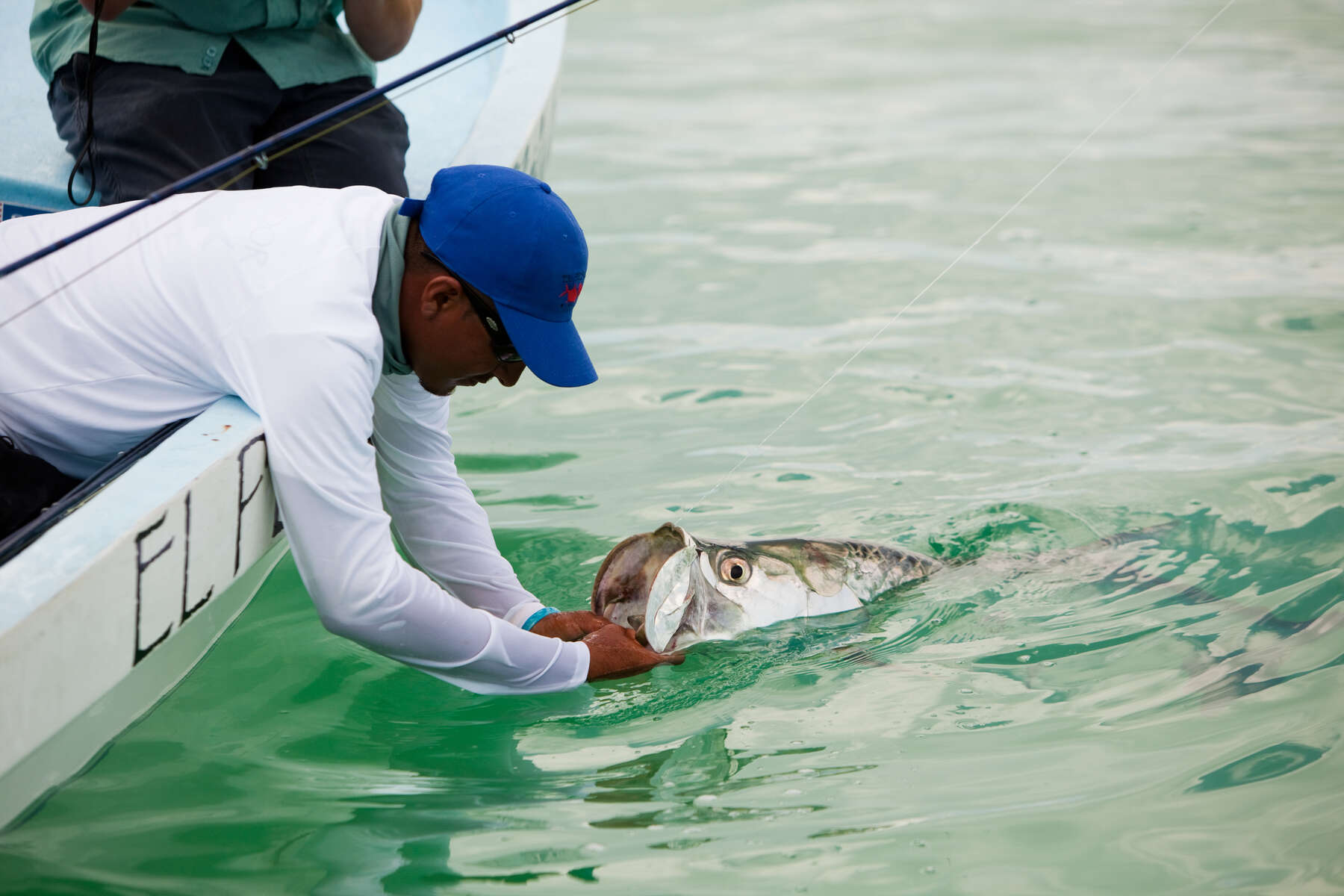 Migratory Tarpon Fishing in Belize