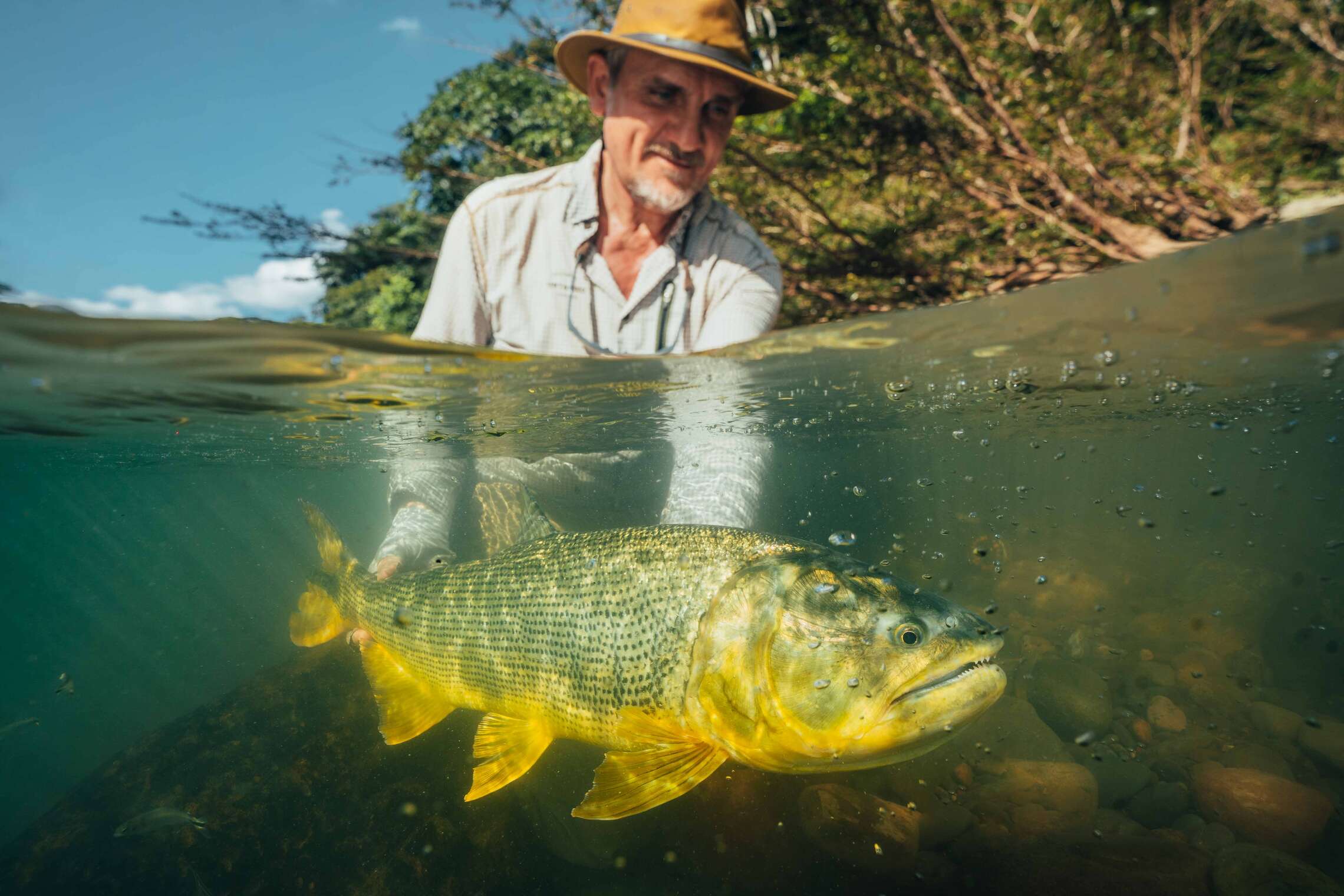 Podcast: Bolivia Golden Dorado
