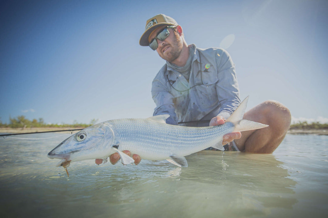 What Makes the Bahamas the Bonefish Capital of the World