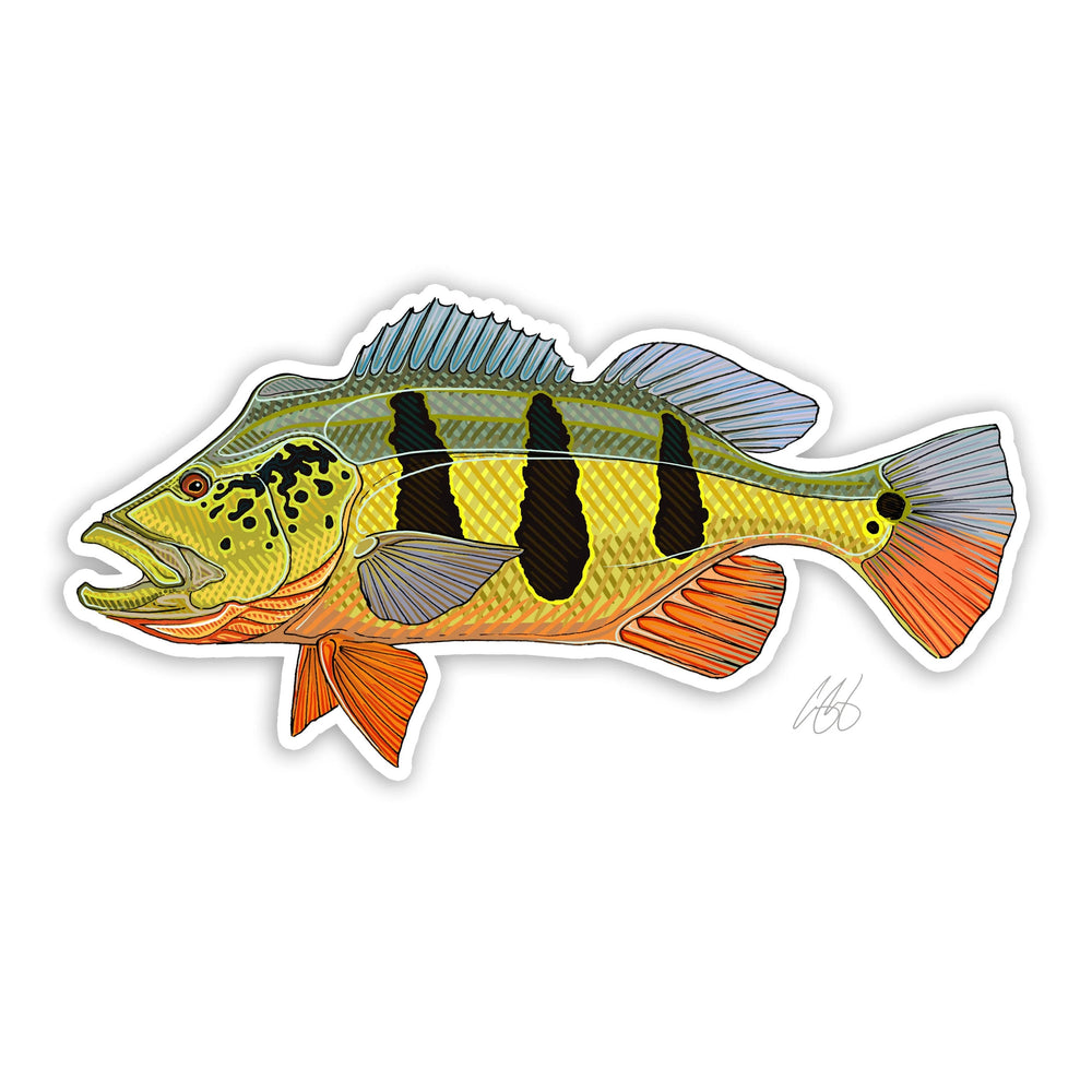 Casey Underwood Peackock Bass, Peacock