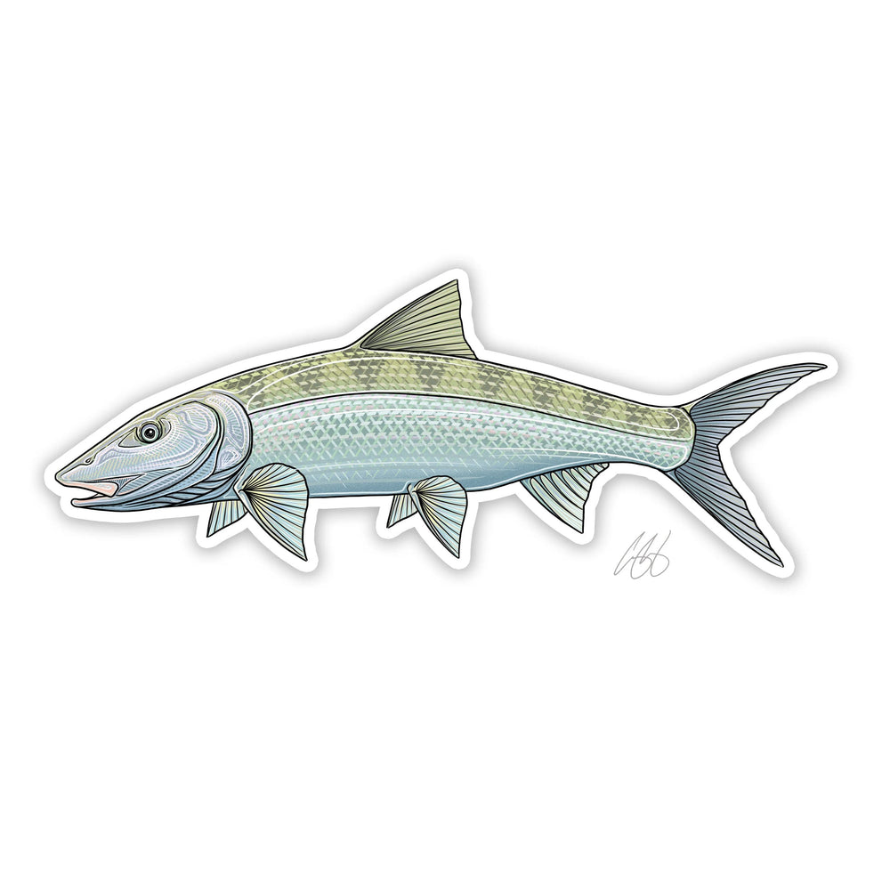 Casey Underwood Bonefish Decal, view 2