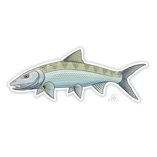 Casey Underwood Bonefish Decal, view 2