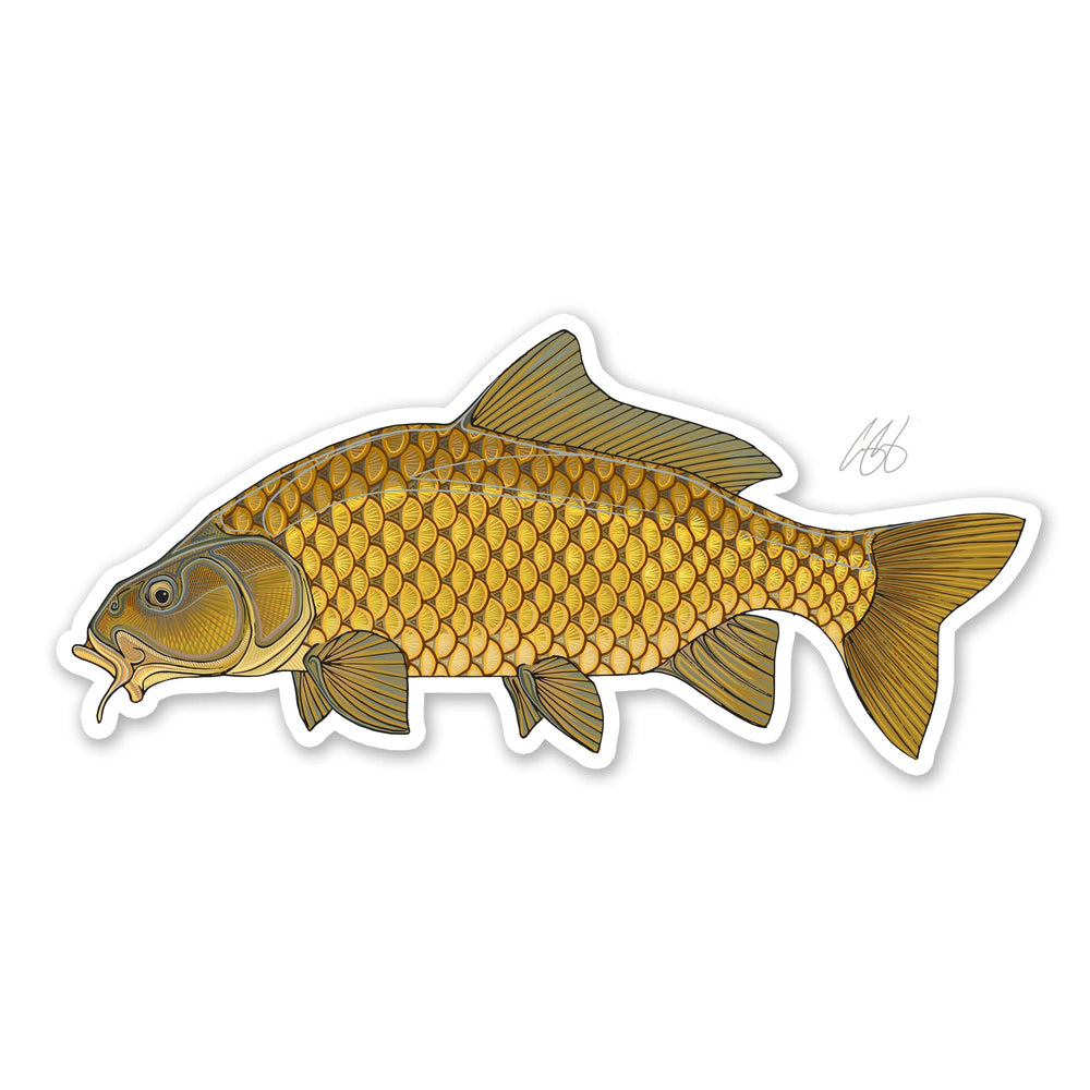 Casey Underwood Common Carp Decal | Tailwaters Fly Fishing