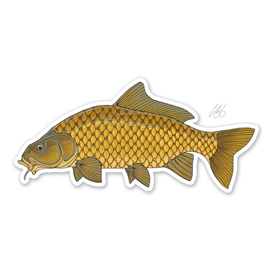 Casey Underwood Common Carp Decal | Tailwaters Fly Fishing
