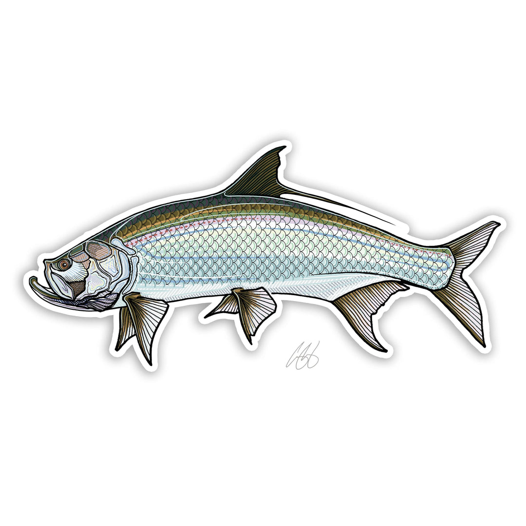 Casey Underwood Tarpon Decal | Tailwaters Fly Fishing