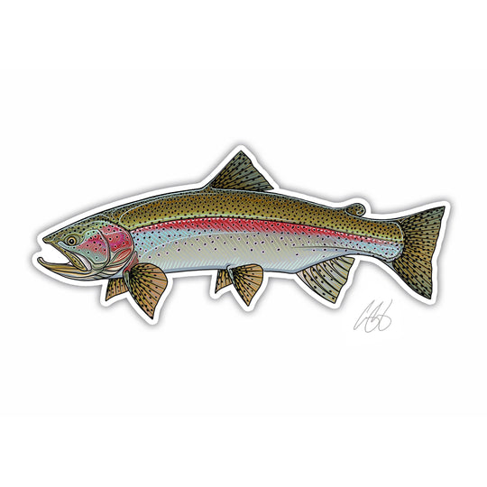 Casey Underwood Rainbow Trout Decal, view 2