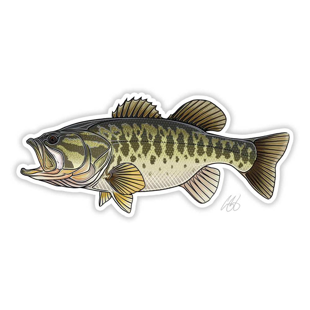 Casey Underwood Largemouth Bass Decal | Tailwaters Fly Fishing
