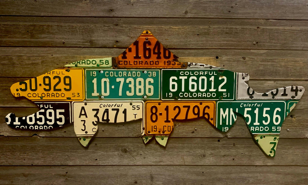50" Colorado Brown Trout License Plate Art | Tailwaters Fly Fishing