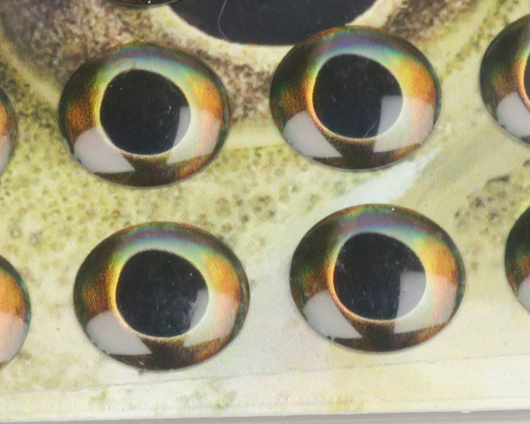 Hareline Fish Skull Living Eyes