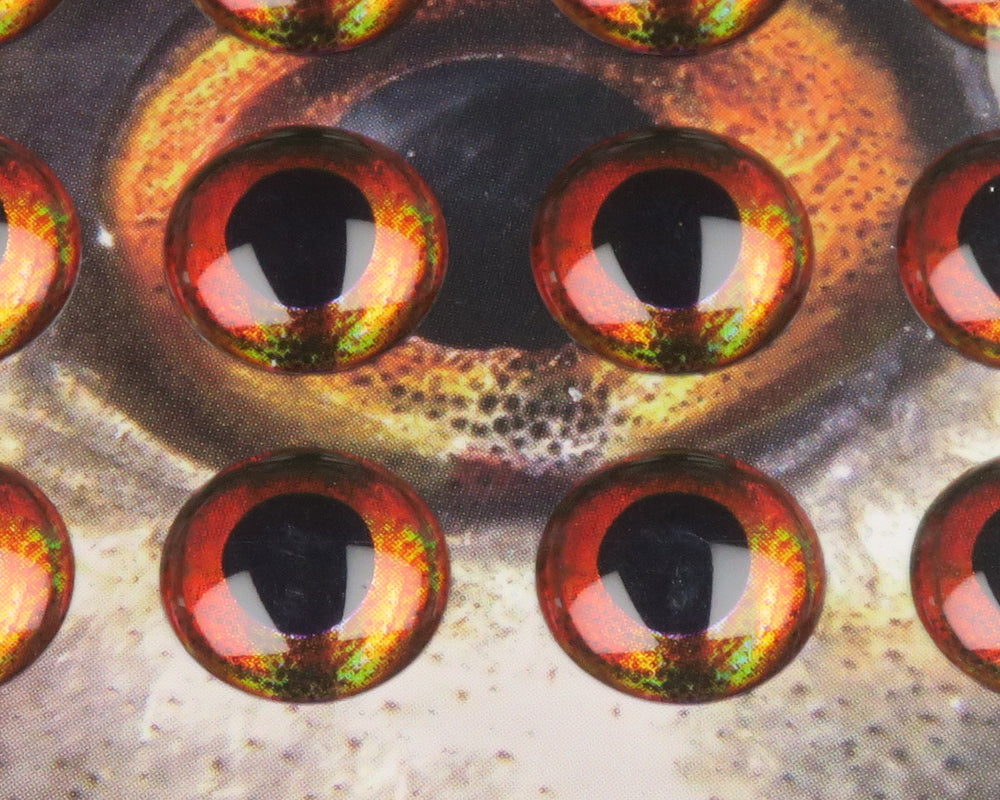 Hareline Fish Skull Living Eyes