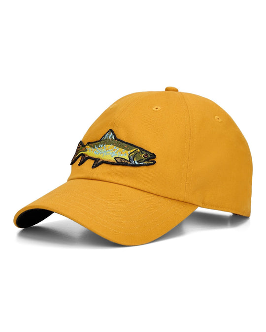 Simms Single Haul Cap, front view, view 2