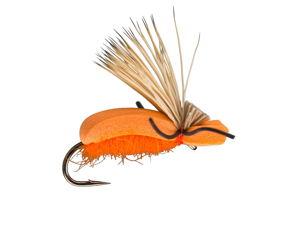 Tailwaters Flies Flying Foam Beetle | Tailwaters Fly Fishing