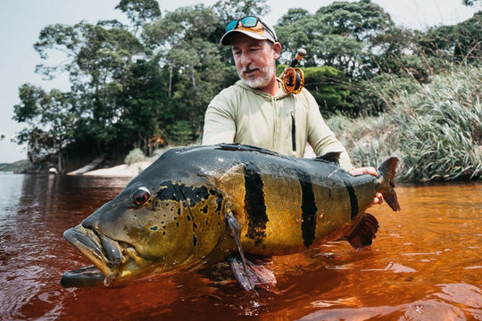 Brazil Peacock Bass Custom Fly Selection | Tailwaters Fly Fishing