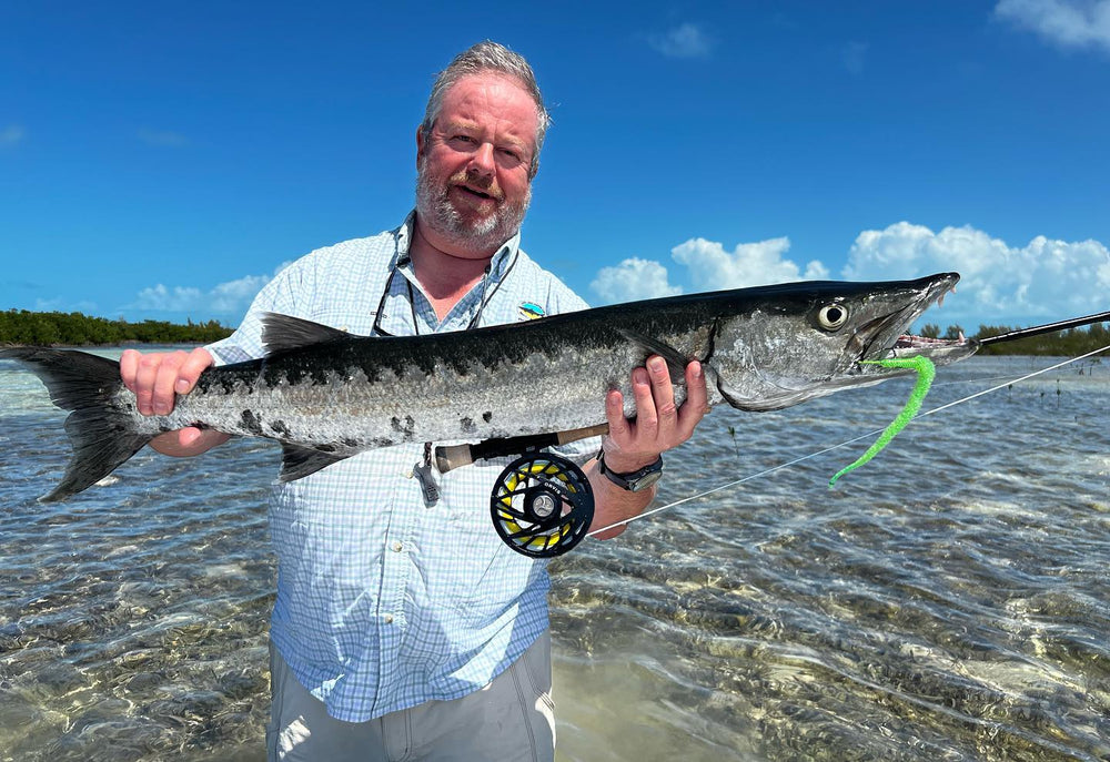 Bahamas Barracuda License Plate Art | Tailwaters Fly Fishing