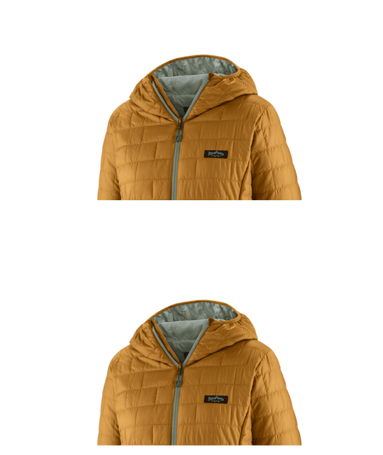 Patagonia Women's Nano Puff Fitz Roy Trout Hoody | Tailwaters Fly Fishing