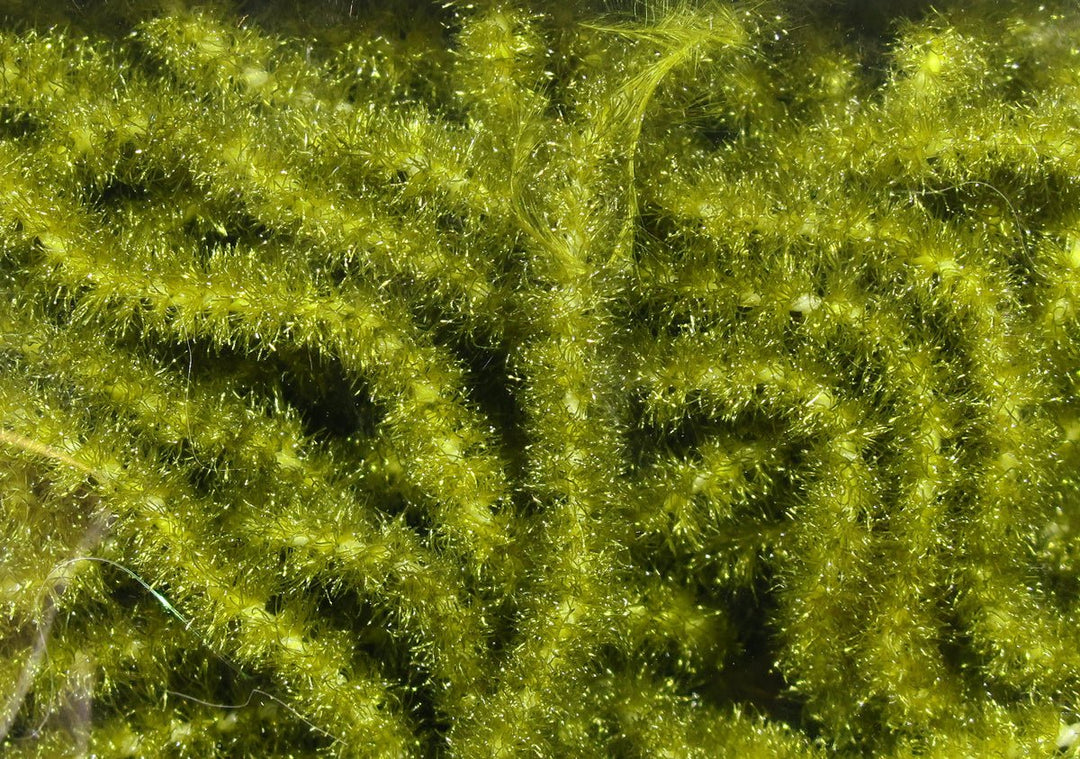 Hareline Trilobal Antron Chenille | Tailwaters Fly Fishing