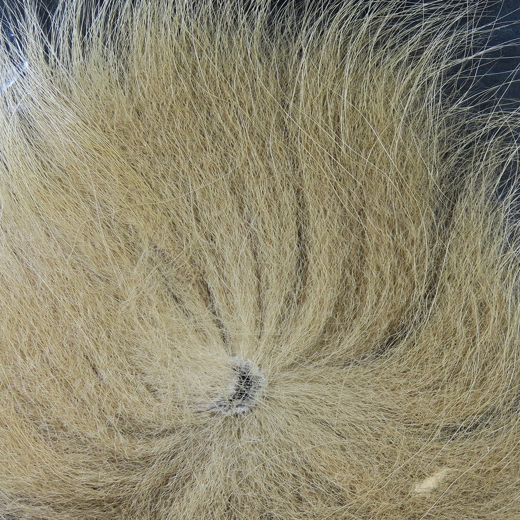 Hareline Arctic Fox Tail Hair | Tailwaters Fly Fishing