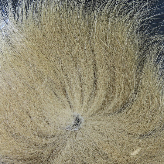 Hareline Arctic Fox Tail Hair | Tailwaters Fly Fishing