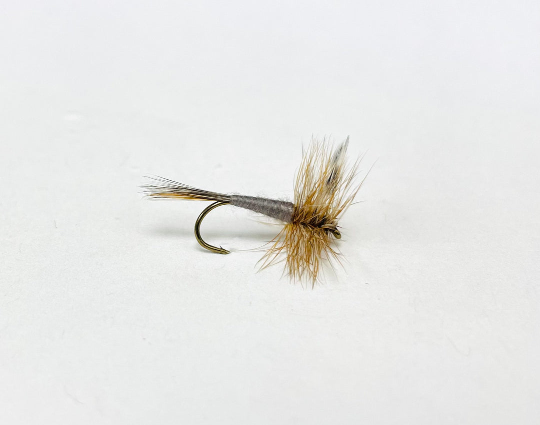 ADAMS DRY FLY |Tailwaters Fly Fishing