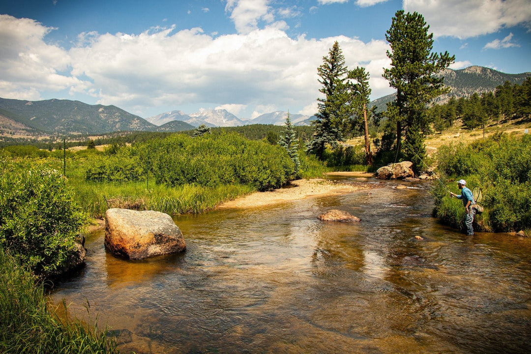 Thomas & Thomas Avantt II Fly Rod | Tailwaters Fly Fishing