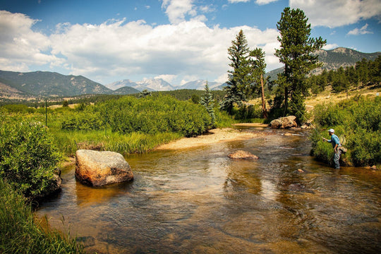 Thomas & Thomas Avantt II Fly Rod | Tailwaters Fly Fishing