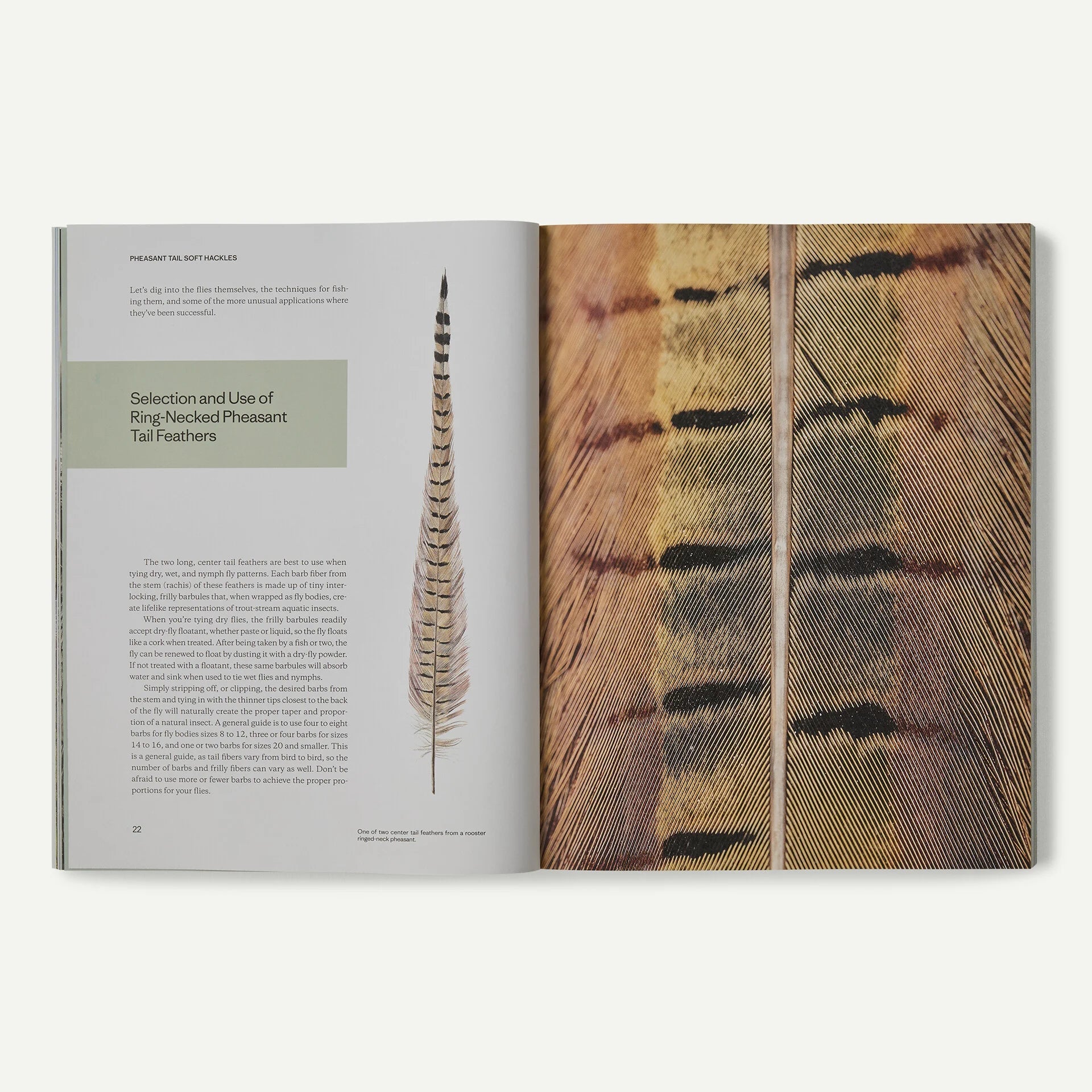 Pheasant Tail Simplicity by Yvon Chouinard | Tailwaters Fly Fishing