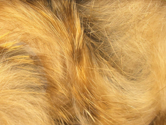 Hareline Brown Barred Magnum Rabbit Strips