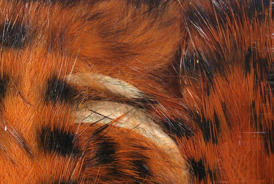 Hareline Black Barred Rabbit Strips | Tailwaters Fly Fishing