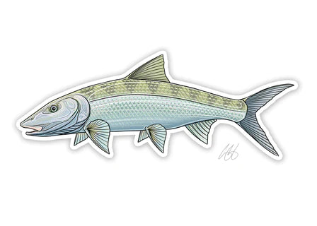 Casey Underwood Bonefish Decal, Display