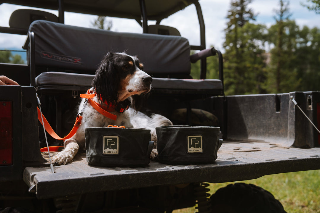 Fishpond Bow Wow Travel Food Bowl, view 7
