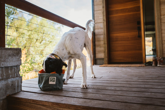 Fishpond Bow Wow Travel Food Bowl, view 9