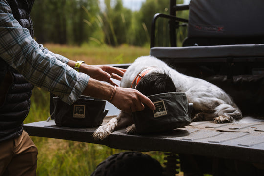 Fishpond Bow Wow Travel Food Bowl | Tailwaters Fly Fishing