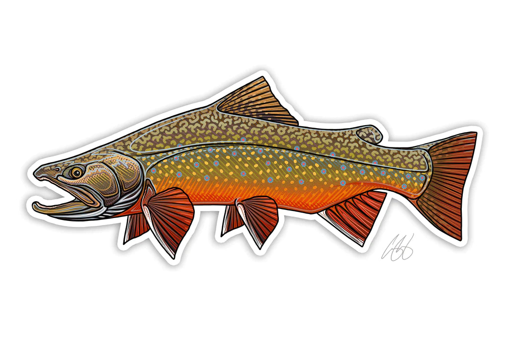 Casey Underwood Brook Trout Decal | Tailwaters Fly Fishing