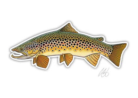 Casey Underwood Brown Trout Decal, Display