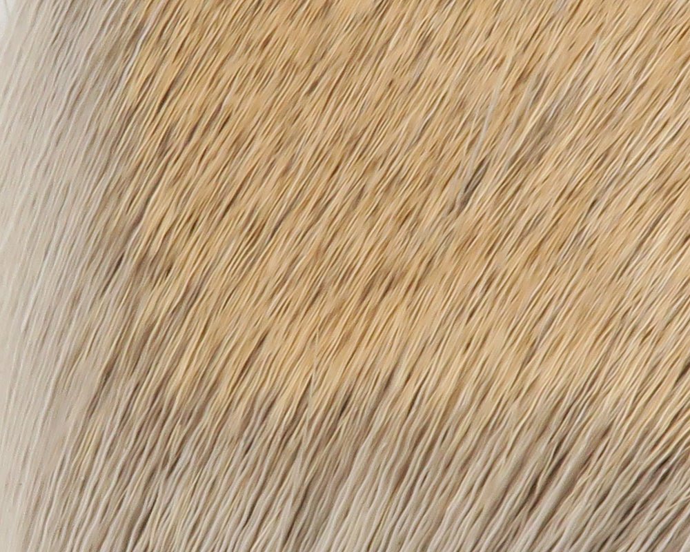 Hareline Coastal Deer Hair | Tailwaters Fly Fishing