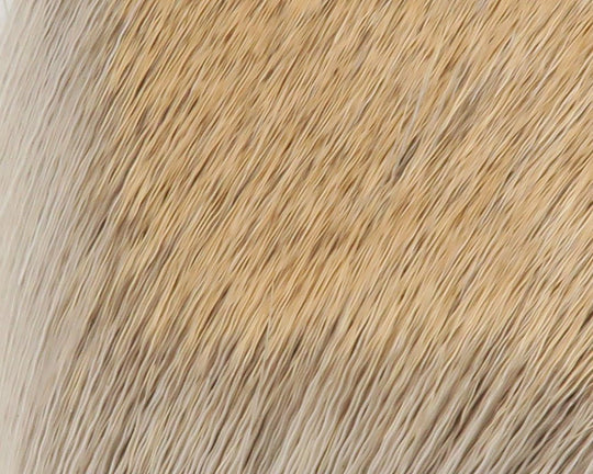 Hareline Coastal Deer Hair | Tailwaters Fly Fishing