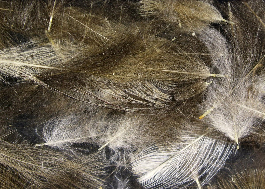 Hareline Cul De Canard | Tailwaters Fly Fishing